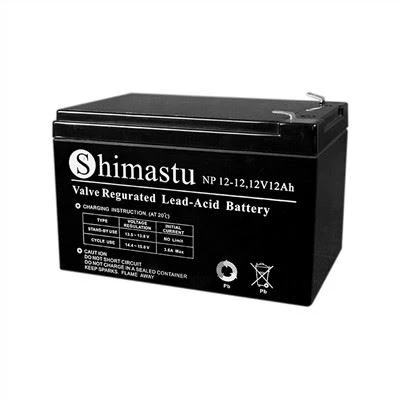 باتری سرب اسید مهر و موم شده 12V12Ah
